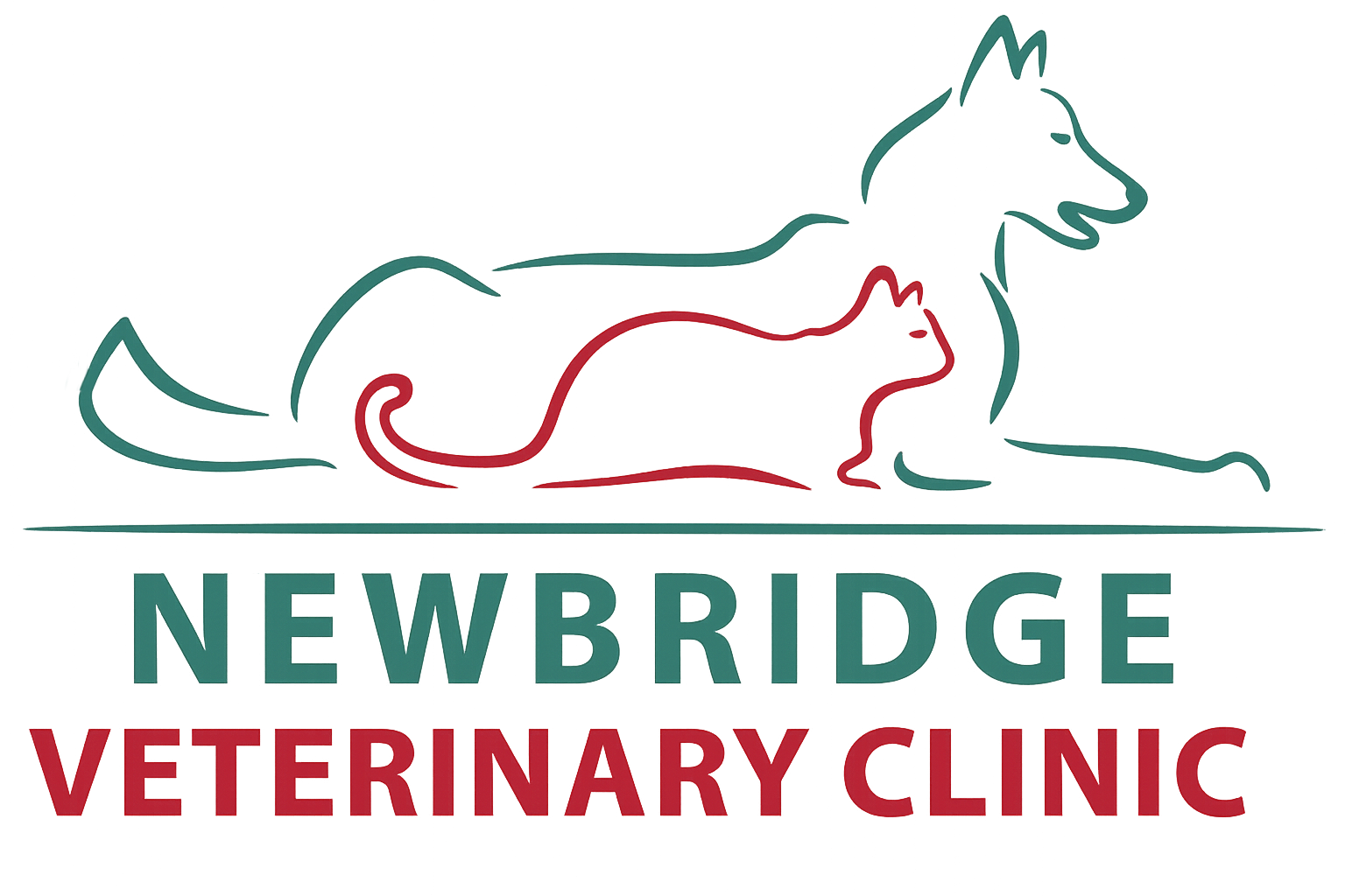 Veterinary Clinic Newbridge